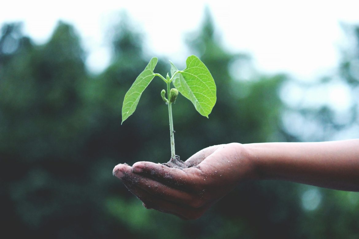 Páscoa sob o Signo da Ecologia Integral