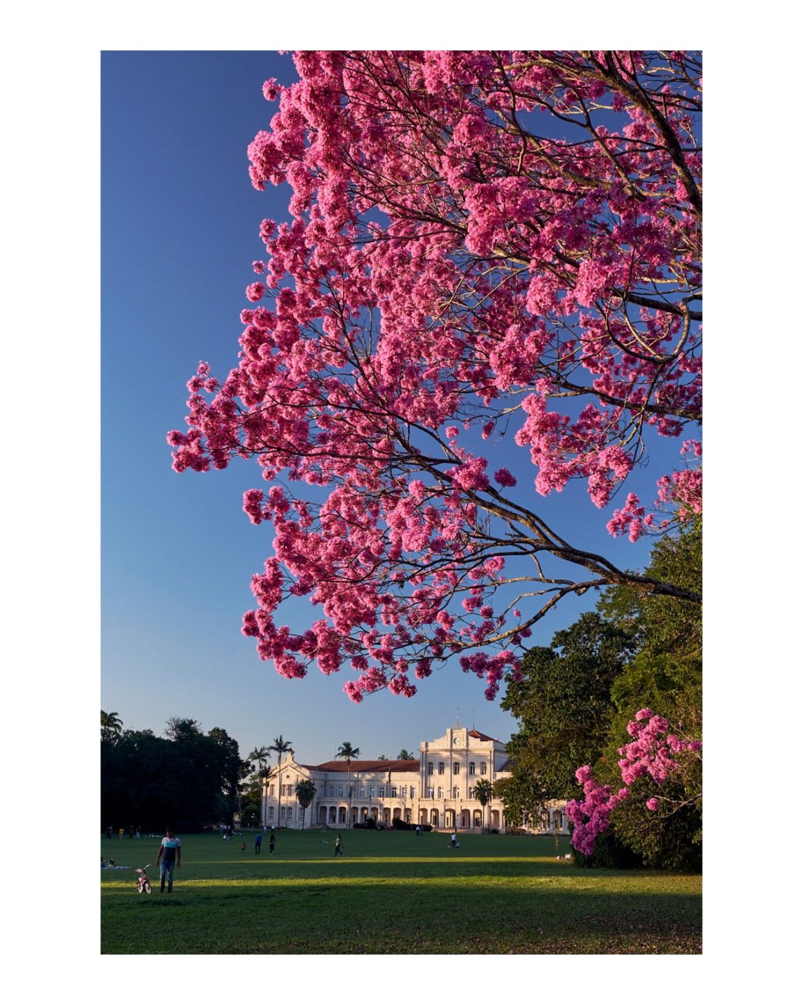 Exposição “Como Se Vento Fosse” será aberta hoje, na ESALQ