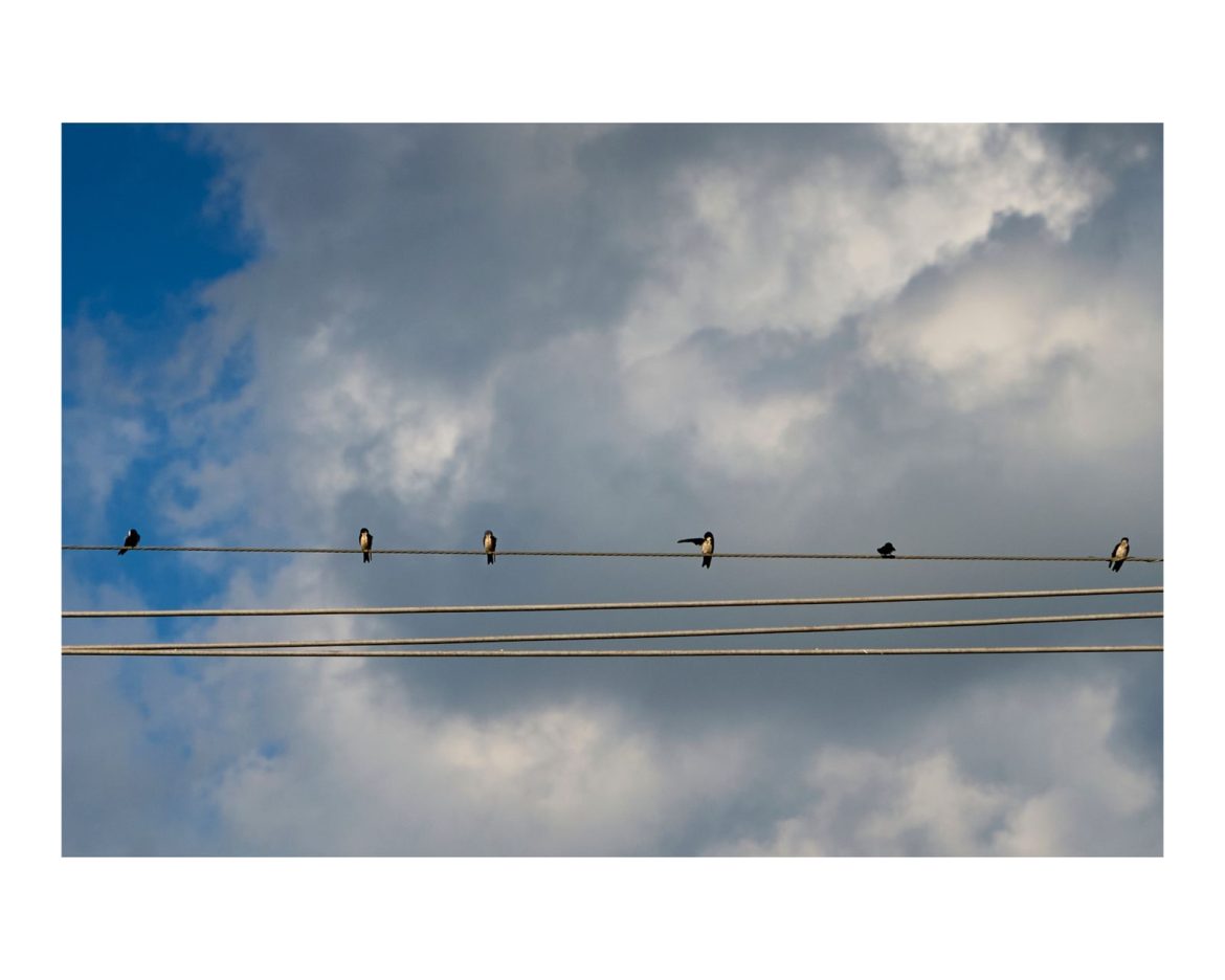 Fotografia de Quinta! – Delação Premiada! – Por Marcio Lambais