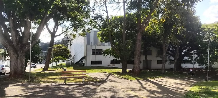 Diário da Biblioteca – II (cont.). 05/05/2026 – Um dia de cães