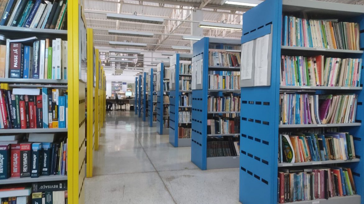 Diário da Biblioteca – I (continuação): um leitor, dois tempos