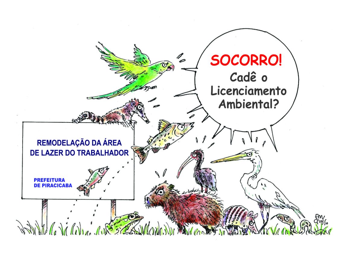 Humor Diário! Com Edu Grosso & Erasmo Spadotto!